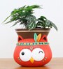 Multicolour Resin Hanging Tribal Owl Succulent Pot