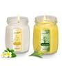 Earth Scent & Lemon Aroma White & Yellow Soy Wax (Set of 2) Scented Candles