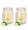 Earth Scent Aroma White Soy Wax (Set of 2) Scented Candles