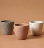Marabelle Combo Multicolour Terracotta (Set of 2) Desk Pot