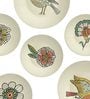 Multicolour Vinatage American Bird Decorative Wall Plates- Set Of 6