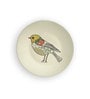 Multicolour Vintage American Bird Art Decorative Wall Plate
