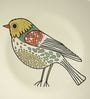 Multicolour Vintage American Bird Art Decorative Wall Plate