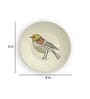 Multicolour Vintage American Bird Art Decorative Wall Plate