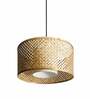 Mystic Mushroom Natural Bamboo Hanging Light