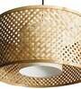 Mystic Mushroom Natural Bamboo Hanging Light