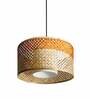 Hydra Orange & Natural Bamboo Hanging Light