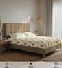 Mustard Floral 200 TC Cotton Single Bedsheet with 1 Pillow Cover