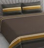 Brown Geometric 400 TC Cotton Superking Size Bedsheet With 2 Pillow Covers Threads Stripes Collection
