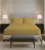 Mustard Gold Solid 400 TC Cotton King Sized Fitted sheet with 2 Pillow Covers