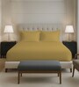 Mustard Gold Solid 400 TC Cotton Queen Sized Fitted sheet with 2 Pillow Covers
