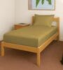 Mustard Gold Solid 400 TC Cotton Single Sized Fitted sheet with 1 Pillow Cover