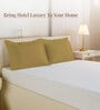 Mustard Gold Solid 400 TC Cotton Standard Sized 2 Pillow Covers