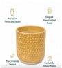 Yellow Bubble Texture Ceramic Planter Pot