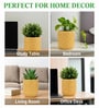Yellow Bubble Texture Ceramic Planter Pot
