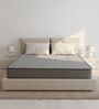 My Mattress Plush 8 Inches Resitec Foam Queen Size Mattress