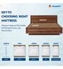 My Mattress Soft 8 Inches Resitec Foam King Size Mattress