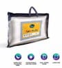 My Power Anti Microbial  Polyester 27 X 17 Inch White Pillow
