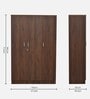 Mystique 3 Door Wardrobe in Brown Colour