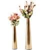 Mysty Gold Iron (Pack of 2) Vases