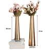 Mysty Gold Iron (Pack of 2) Vases