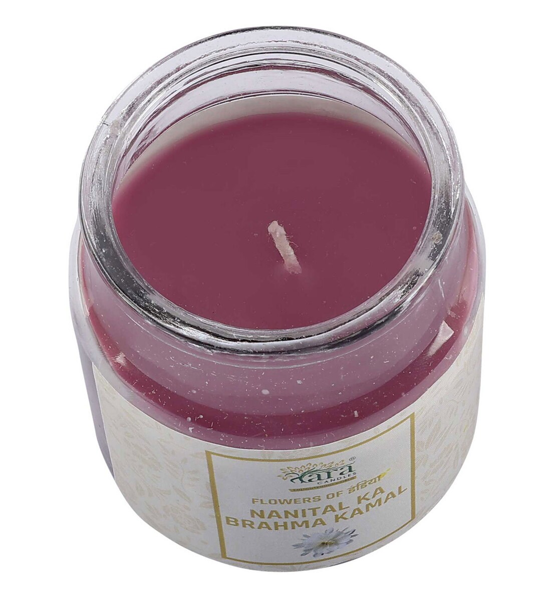 Buy Nainital BrahmaKamal Scented Jar Candle Flowers Collection by Tara