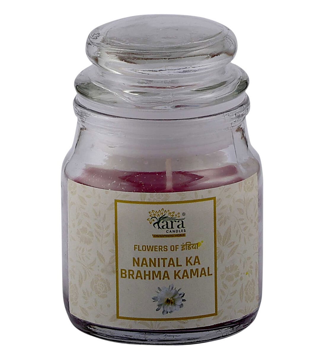 Buy Nainital BrahmaKamal Scented Jar Candle Flowers Collection by Tara