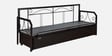 Nairobi  Metal Pull-Out Sofa Cum Bed in Grey Colour with Storage