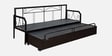 Nairobi  Metal Pull-Out Sofa Cum Bed in Grey Colour with Storage