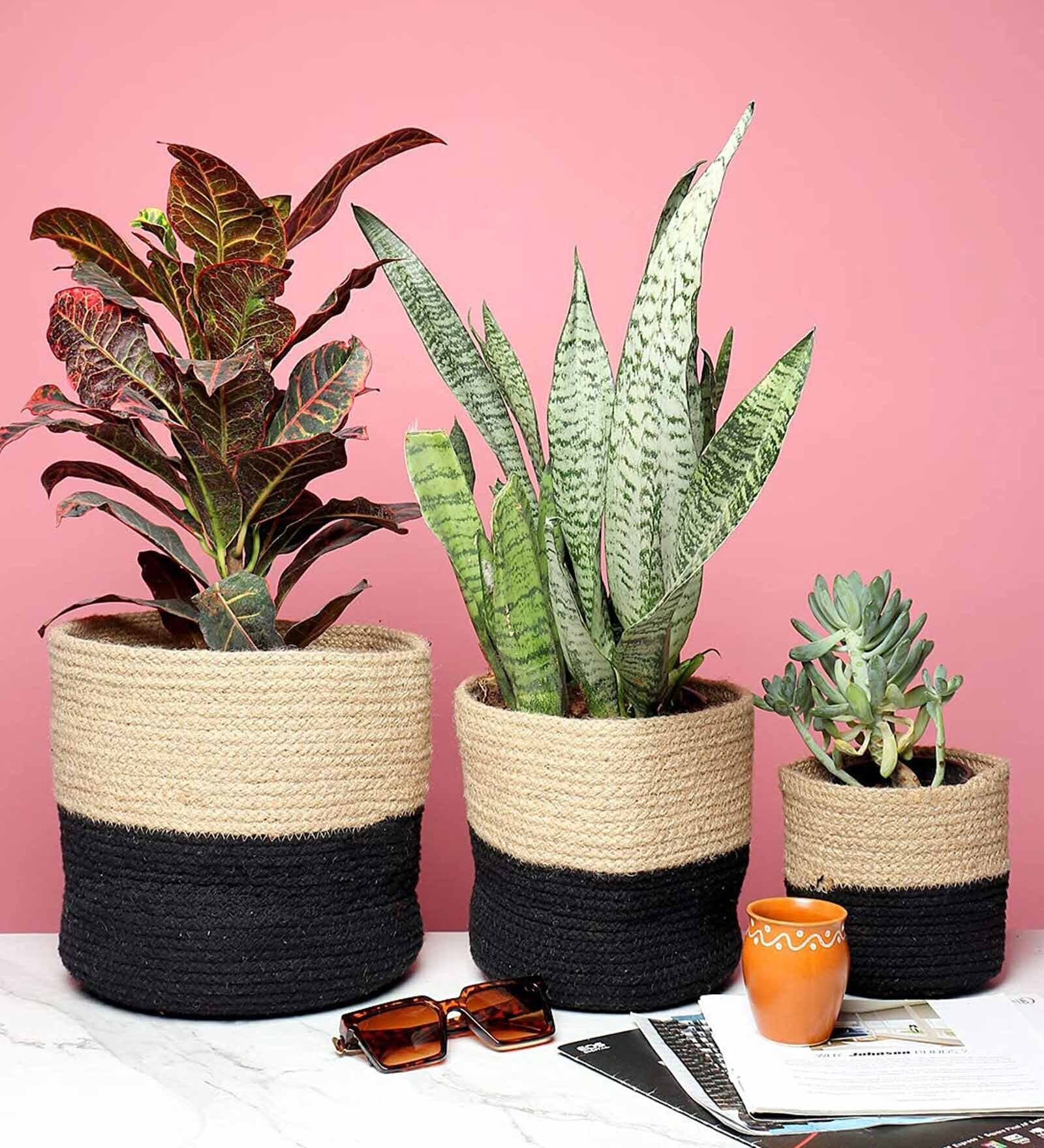 Set Of 3 Black & Beige Jute Handwoven Multipurpose Planter & Storage Basket