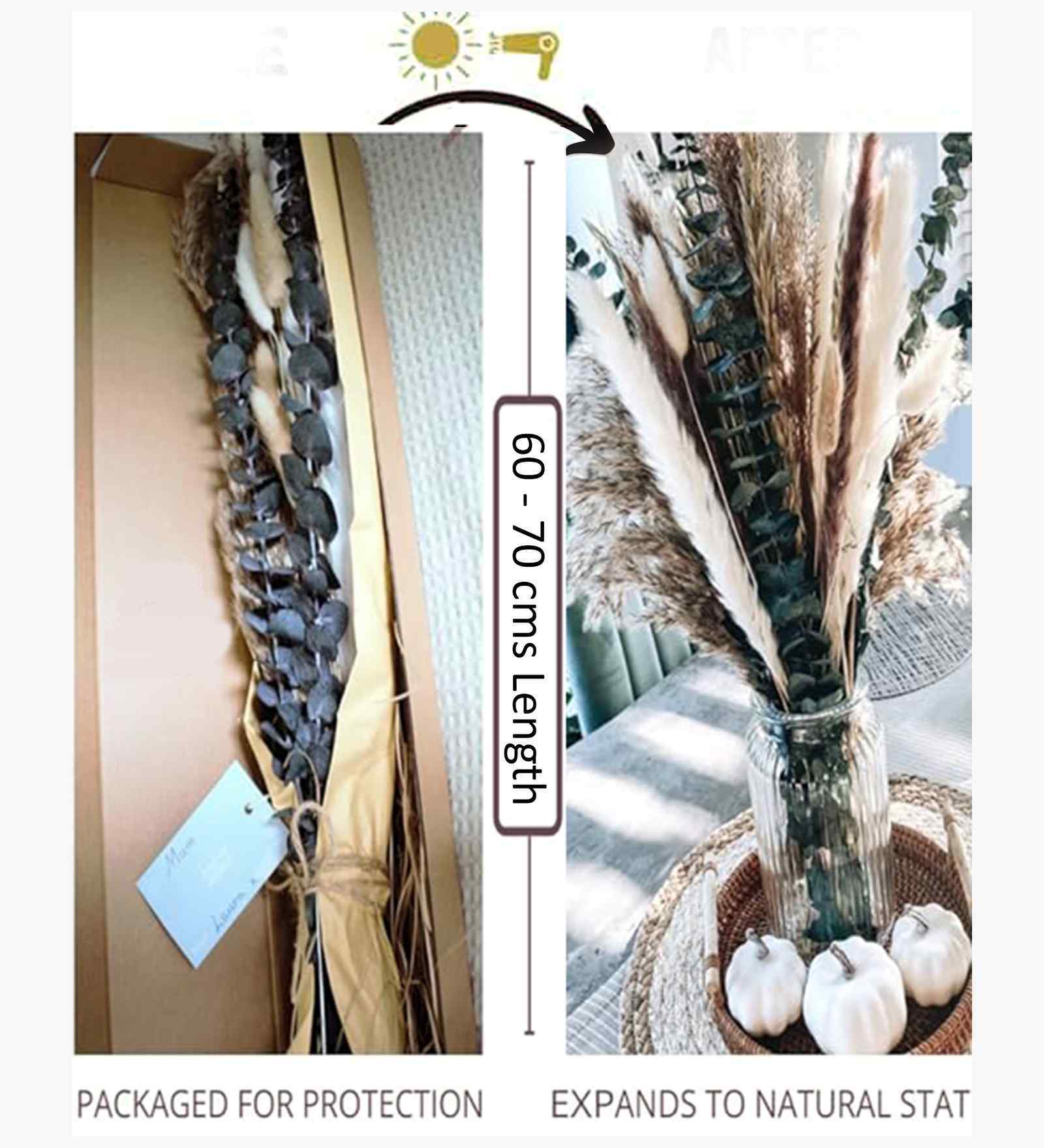 Set Of 50 Multicolor Metal Mixed Pampas Grass Dried Plants