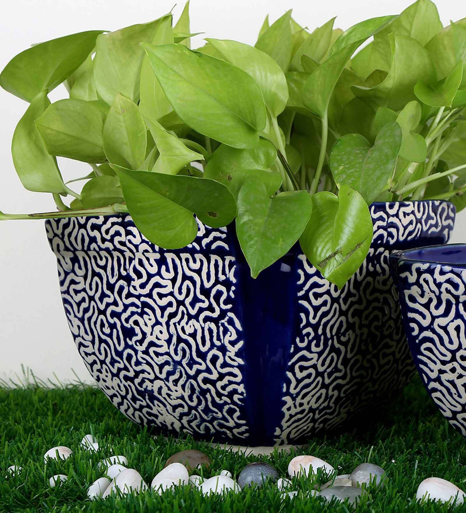 Buy Navy Blue Ceramic Casket Design with RD Print Big Planter by