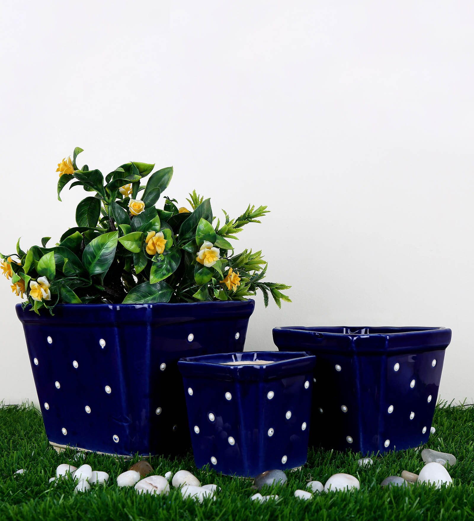 Buy Navy Blue Ceramic Casket Shape with Dot Print Planter, Set of 3 by