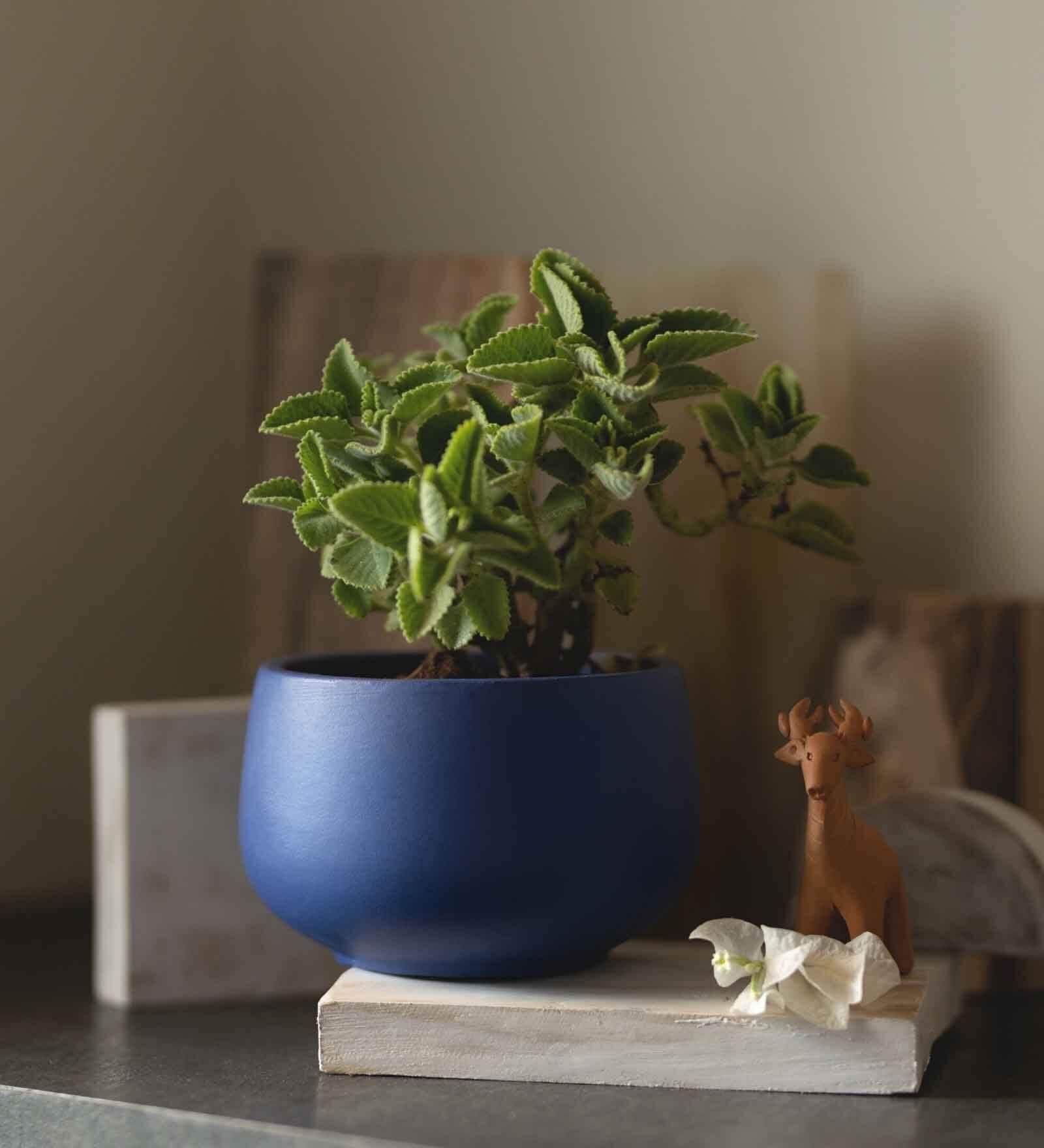 Navy Blue Clay Eco-Friendly Desk Planter (Set Of 2)