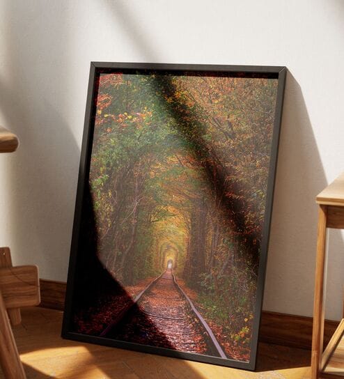Nature Art Printed Canvas  Wall Art