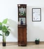 Naagin Sheesham Wood Bar Cabinet in Provincial Teak Finish