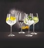 Nachtmann Gin And Tonic Glasses Set Of 4