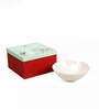 Nadya Salad Bowl