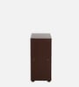 Naia Cabinet in Columbia Walnut Finish