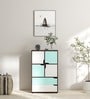 Nanna Cabinet in Columbia Walnut Finish