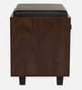Nano Shoe Cabinet In Classic Walnut Finish With Seating