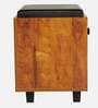 Nano Shoe Cabinet In Tan Finish With Seating