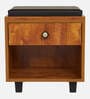 Nano Shoe Cabinet In Tan Finish With Seating