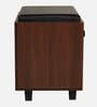 Nano Shoe Cabinet In Walnut Finish With Seating