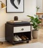 Nano Shoe Cabinet In Wenge & White Finish With Seating