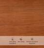 Naomi Solid Wood Coffee Table In Brown Finish