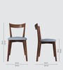 Napoli Solid Wood Dining Chair in Blue Colour, Set of 2