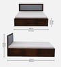 Narvik Sheesham Wood King Size Bed In Provincial Teak Finish With Hydraulic Storage