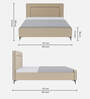 Natalia Upholstered Queen Size Bed In Beige Colour