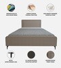 Natalia Upholstered Queen Size Bed In Beige Colour